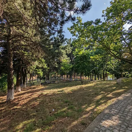 Mitikas 호텔