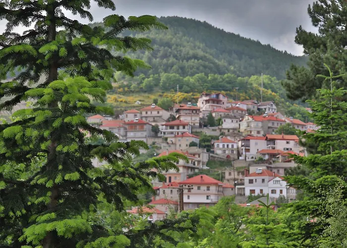 Hotel Mitikas *
